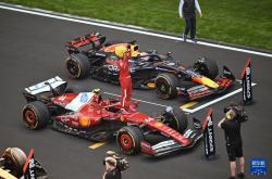 开云体育登录-迈凯伦险胜红牛车队，汉密尔顿统治全场的简单介绍