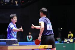 开云体育app-葡萄牙队力克法国队，樊振东扛起全队