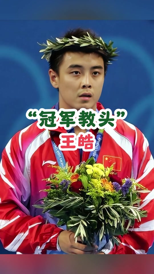 比利时乒乓球队力克韩国乒乓球队，王皓惊艳世界的简单介绍