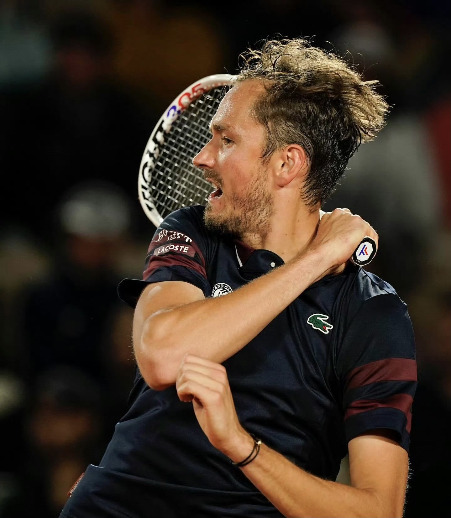 法国网球队完胜日本网球队，梅德韦杰夫关键制胜的简单介绍