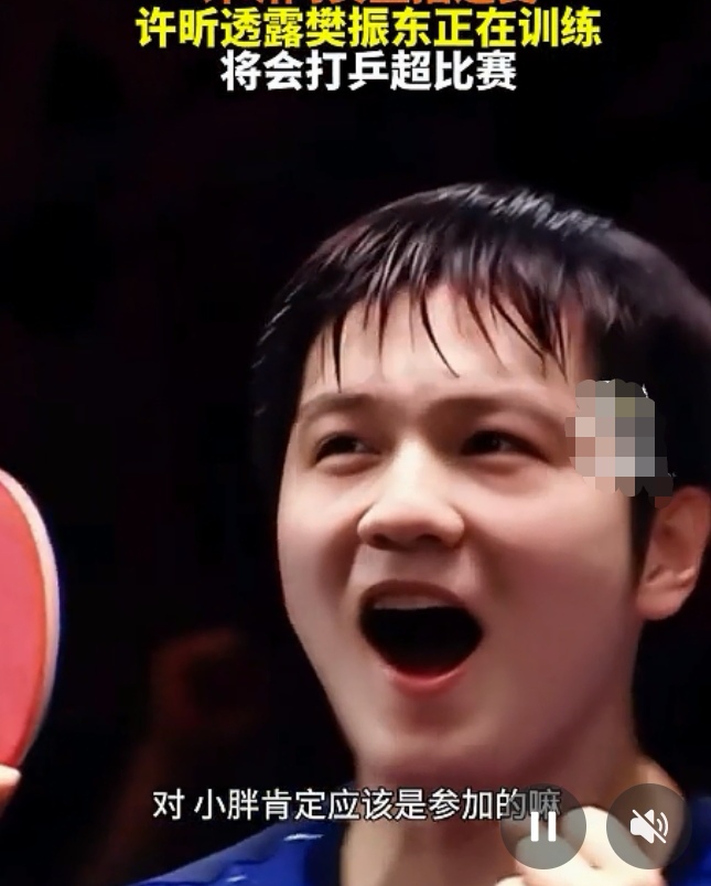 德国乒乓球队轻取比利时乒乓球队,许昕完成帽子戏法的简单介绍 德国乒乓球队轻取比利时乒乓球队,许昕完成帽子戏法的简单介绍