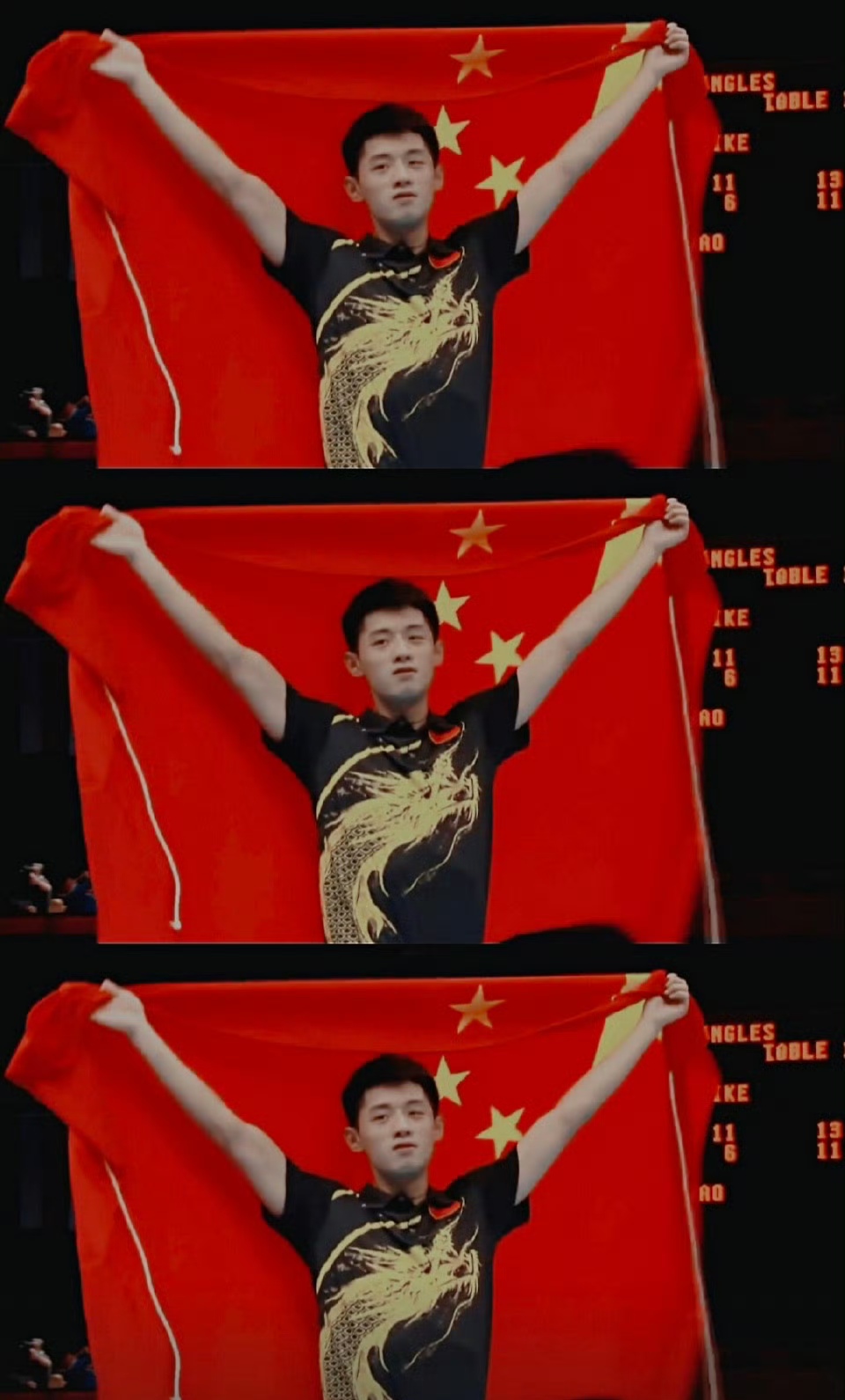 德国乒乓球队绝杀比利时乒乓球队，张继科绝境逆转的简单介绍