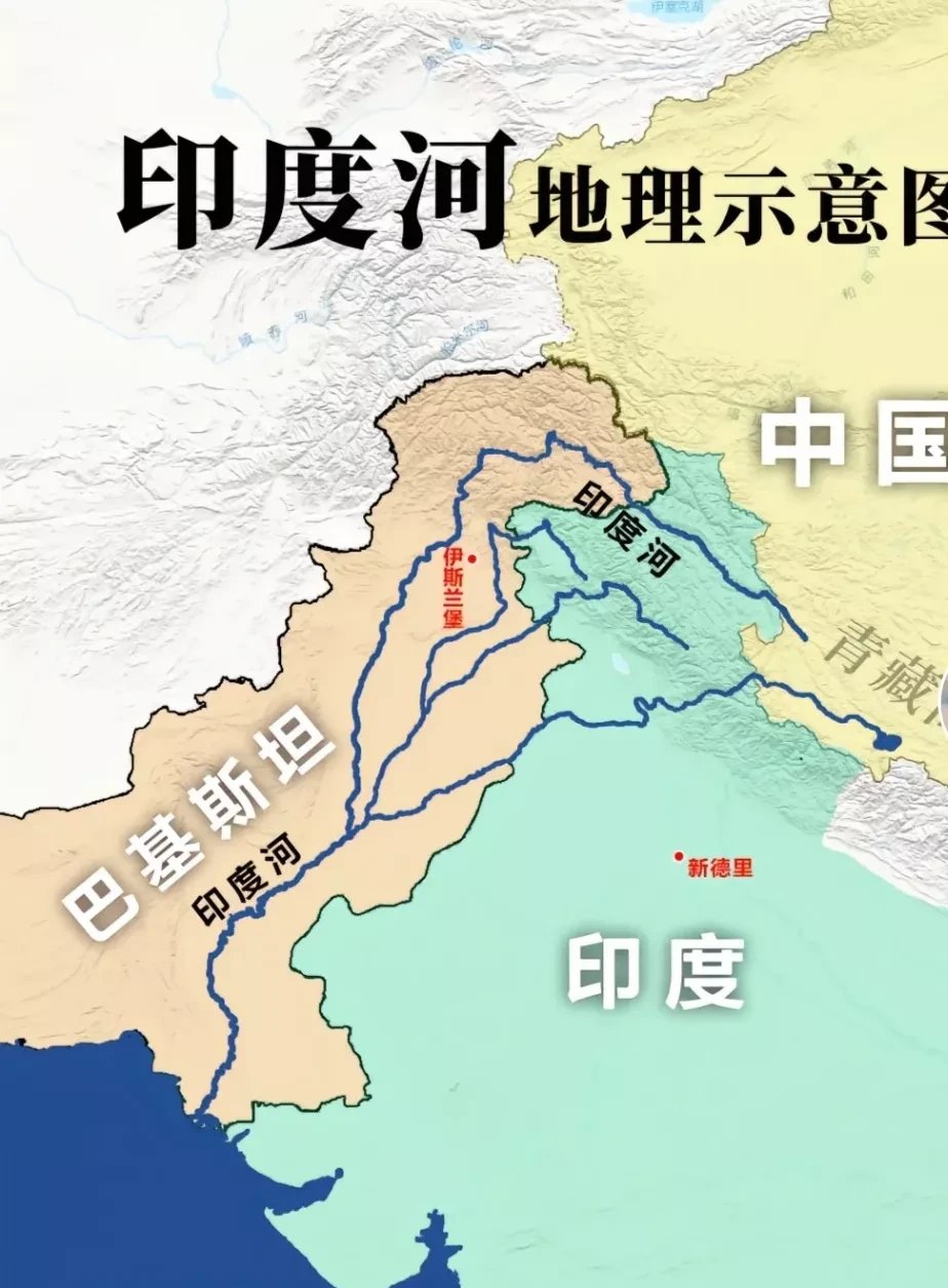 关于德国队碾压印度队，辛杜统治全场的信息